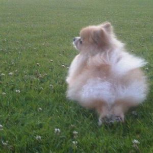 Meet your Posher, Lydia